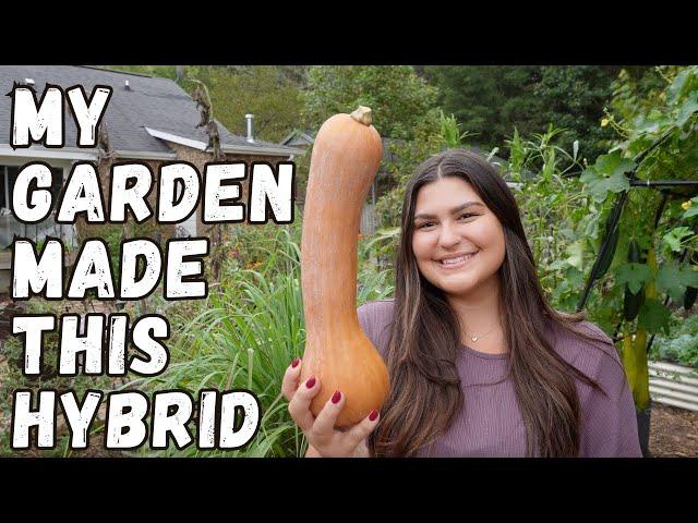 Seed Saving In The Garden | Hybrid Plants