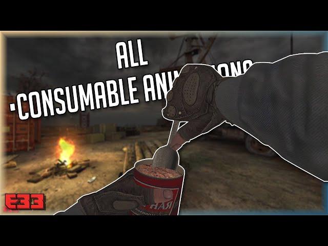 GUNSLINGER (S.T.A.L.K.E.R.: Call of Pripyat mod) - All Food, Drinks and Medications Animations