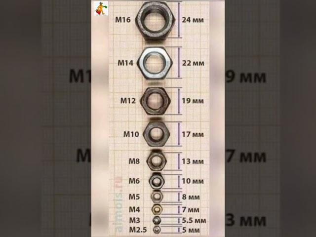 nut and size with mm