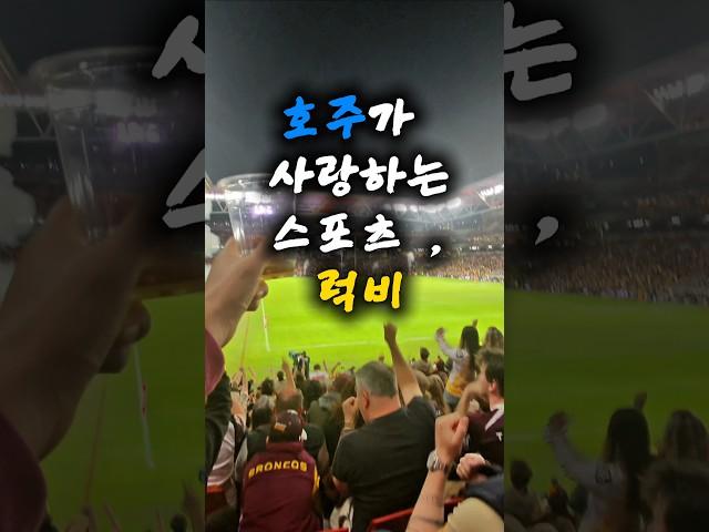 호주를 진짜로 느끼고 싶다면? 럭비 경기 보세요 #호주일상 #호주브이로그 #호주워홀 #브리즈번일상 #선콥스타디움 #브리즈번여행 #호주여행추천 #럭비경기 #럭비직관 #브롱코스