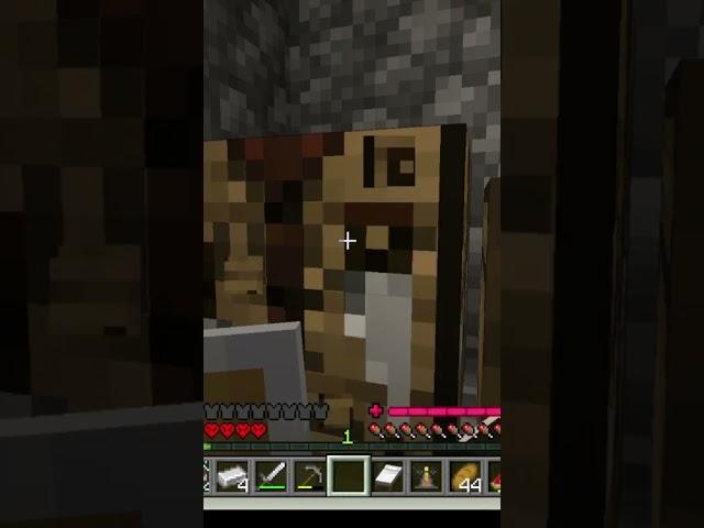 A Minecraft Villager Betrays Me!!