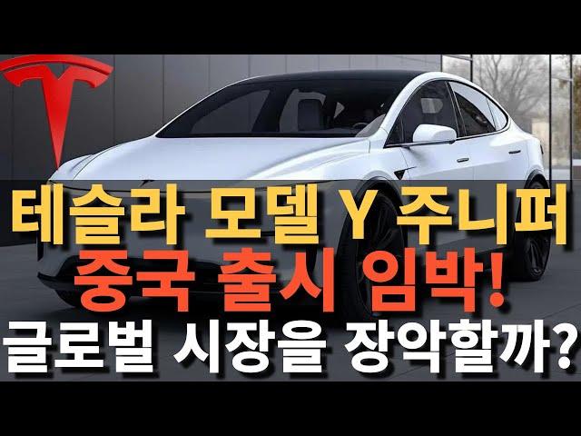 테슬라 모델 Y 주니퍼 중국 출시 임박! 글로벌 시장을 장악할까?