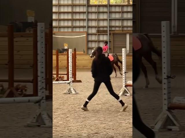 ME WITH GOOD VERTICAL EQ ON ROSIE????