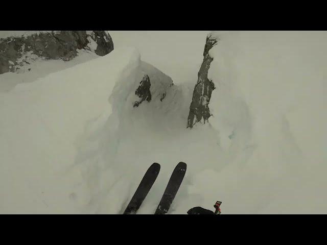 Stormy Pow Day At Whistler