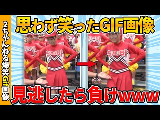 【おもしろgif総集編】何度見ても飽きない面白gif画像集ww 【コメ付き】【ゆっくり解説】【2chスレ】【5ch】