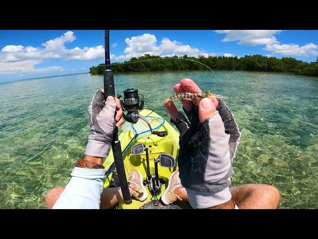 Fishing For Grey Ghosts - Ultra Clear Water Flats Fishing The Florida Keys