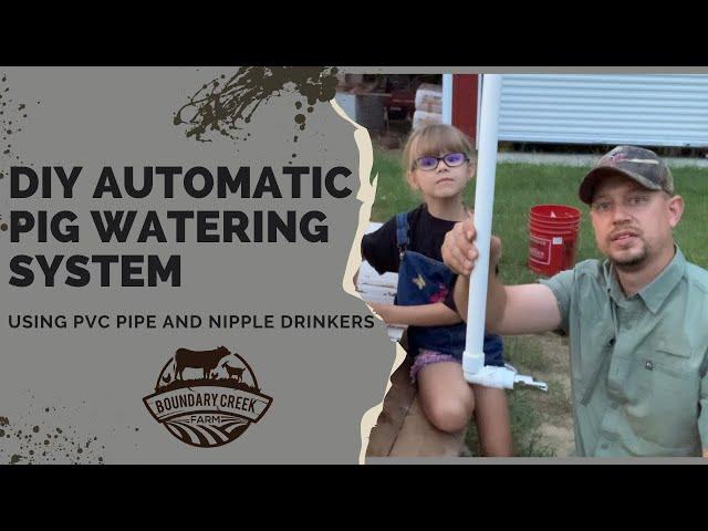 Automatic Pig Waterer: PVC Pipe and Nipple Drinkers