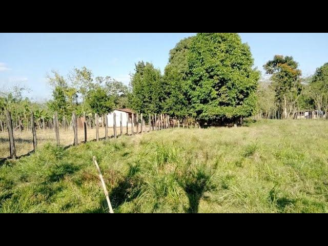 Finca Terreno Llano en Venta  30T 20241507