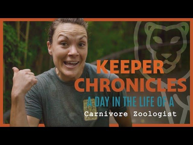 A Day in the Life of a CARNIVORE ZOOLOGIST