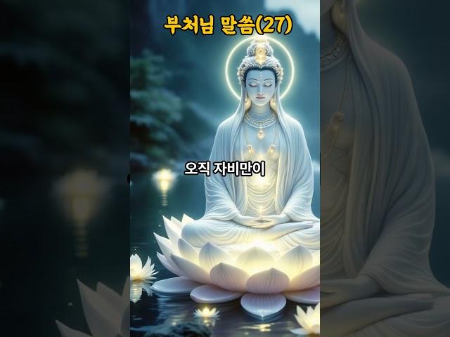 부처님 지혜의 말씀(27), -자비- #석가모니 #명언 #불경