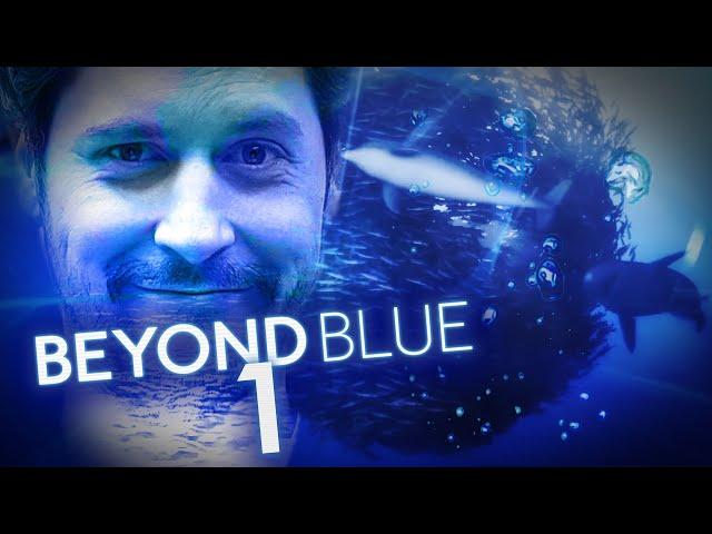 Unterwasser - vielleicht schöner denn je! | Beyond Blue mit Simon #1