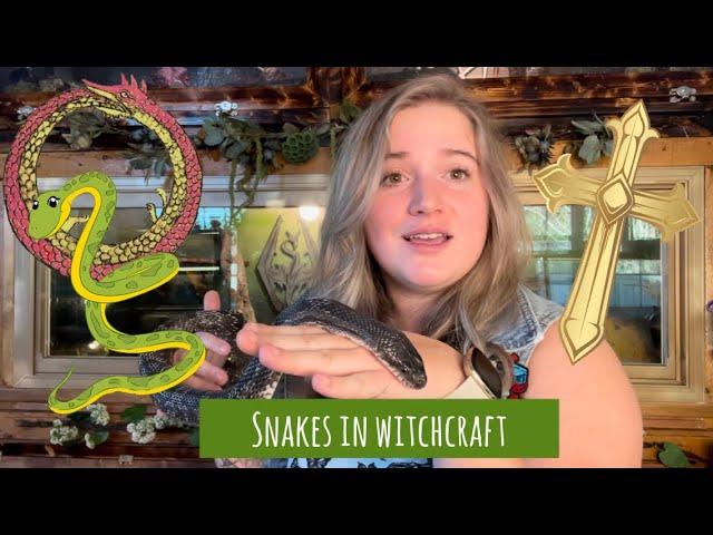 What snakes mean in witchcraft (and how to work with them)