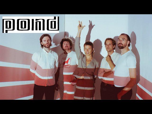 Jumping into the deep end with POND: Nick Allbrook Interview