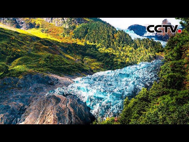 【4K】似奔泻的银河在圣地处被定格！到明永冰川感受梦幻的“冰川蓝” | CCTV