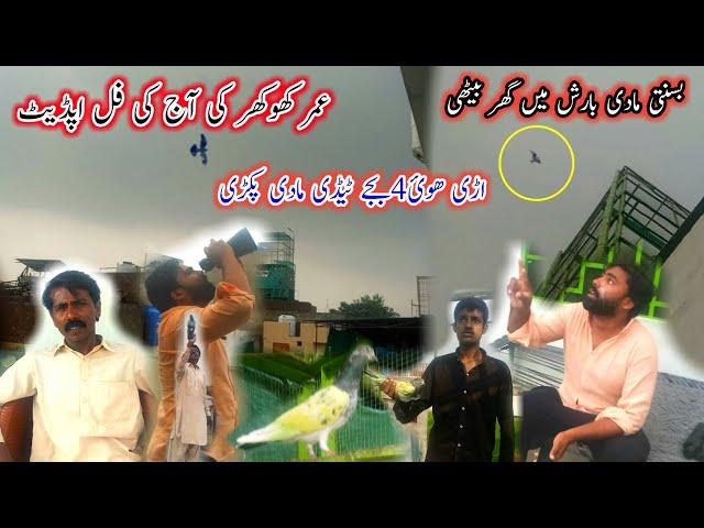 umar Khokhar ki aj Ki Full Update | Pola G Pigeon Club || Pigeon Training