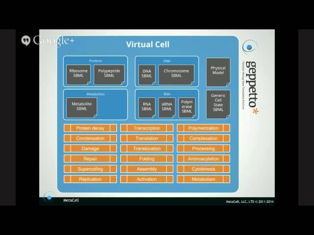 Collaborative Bottom-up Modeling in Computational Biomedicine