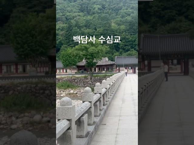 백담계곡 시원한 물과 서늘한 바람이 마음에 낀 떼와 번뇌를 씻겨주는 백담사 수심교 #shorts #설악산 #백담사 #봉정암 #순례길 #당일치기 #여행 #등산 #추천 #코스