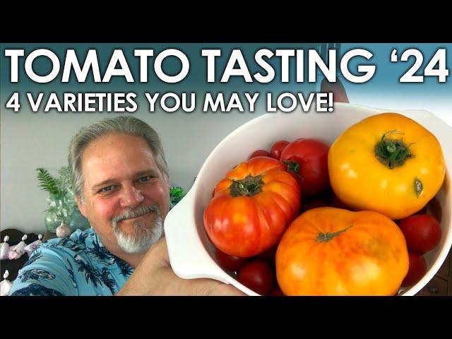 Tomato Tasting '24  - Four Varieties You Might LOVE! || Black Gumbo