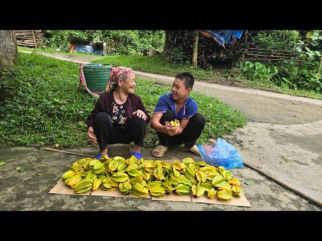 Thanh and the old woman picked star fruit to sell, the duck came in and ate all the young corn.