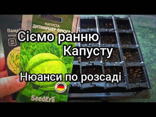 Сіємо ранню Капусту на розсаду /// Огляд сортів ранньої Капусти