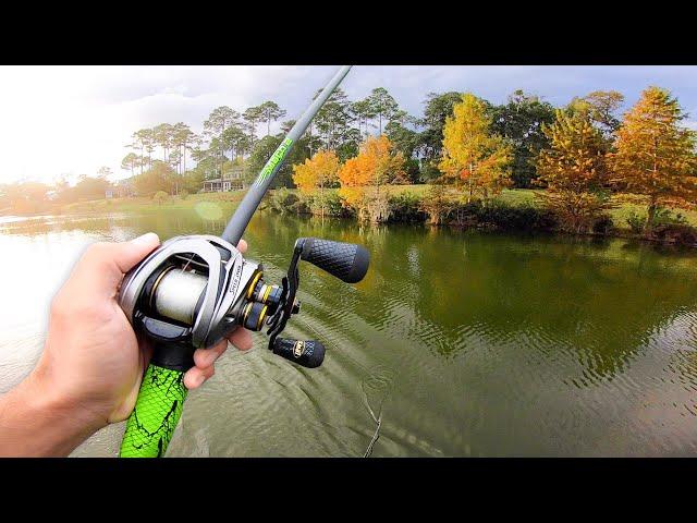 INSANE Day of Bass Fishing (Lake Fishing)