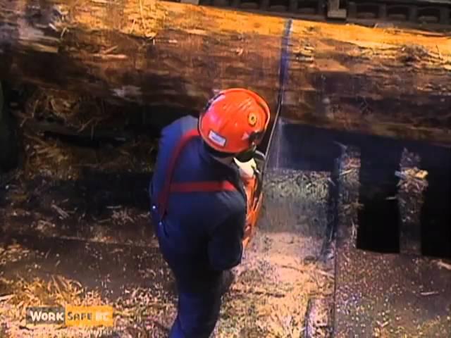 Tips for Avoiding Chainsaw Kickback