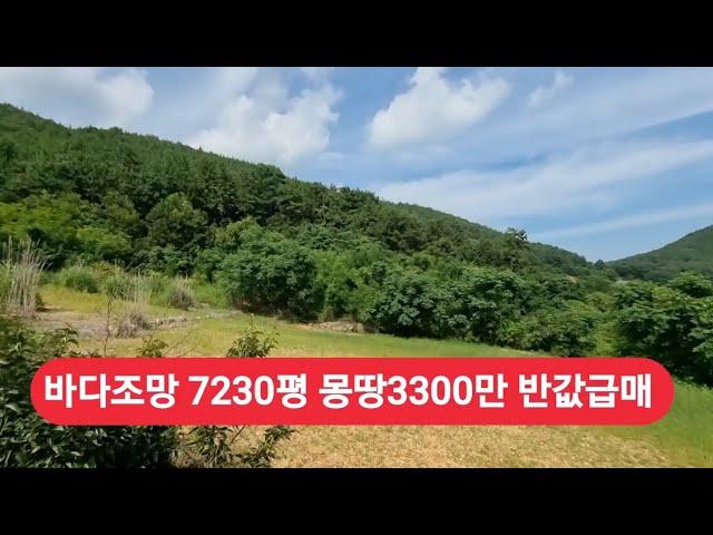 경매직전 7230평 바다조망 완벽한땅     몽땅3300만 반값급매 가격절충 가능