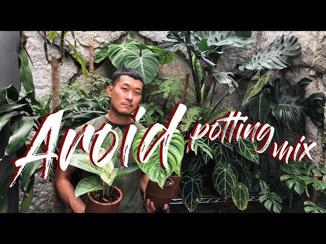 Aroid (and epiphyte) Potting mix