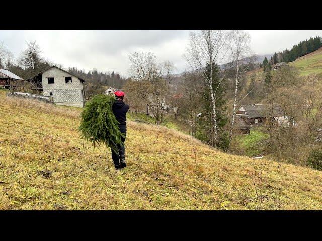 Amazing life in a mountain village