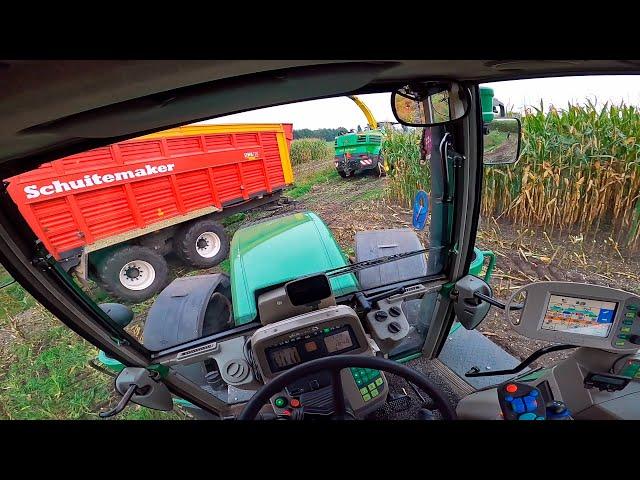 Cab View | Fendt 916 Vario TMS | Mais Silage