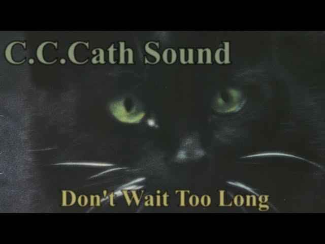 C.C.Catch - Don't Wait Too Long (Ryan Benson vers.2017)