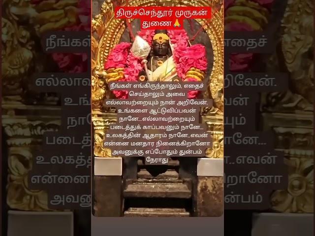 முருகன் வாக்கு#murugan#murugansongs#shortsfeed#motivation#viralvideo#virslshorts#shorts#short#love