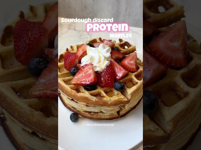 Sourdough discard protein waffles ￼ #wholefoodproteinrecipe