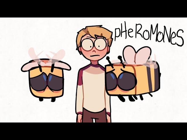 Autotuned bees - animatic