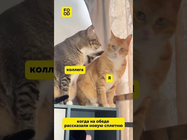 Когда села пообедать на работе#юмор #смех #веселье #прикол #еда #питание #обед #foodru