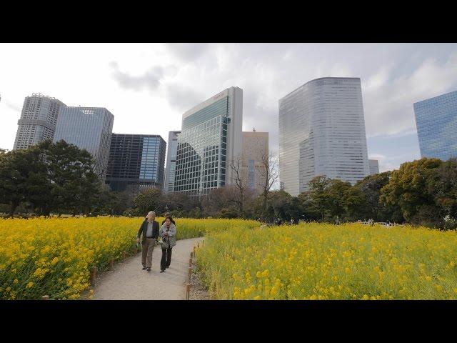 4K・ 【4K】Hamarikyu Gardens videowalk