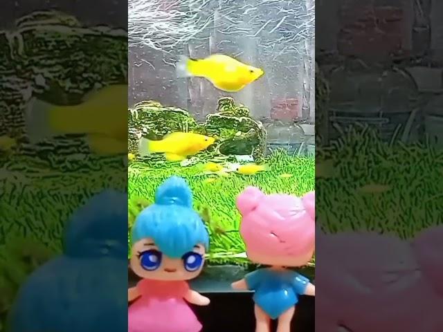 loli play in aquarium with friends LOL suprise 