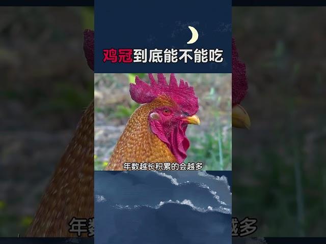 探索科学世界：打破神秘的面纱，揭示科学的力量和魅力 - 简明易懂的科普系列 #科学 #科普 #探索 #教育 #揭秘未知 #科技 #理解科学 #通俗易懂 #Science #Mystery #Tech