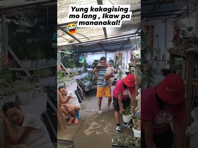 Maikli lang ang buhay dapat happy lang !life in garden #plants #hermiesonajo #shorts #fypシ゚viral