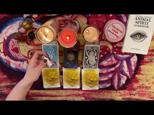 How does your crush currently feel? ️️/Pick a Card Tarot Reading