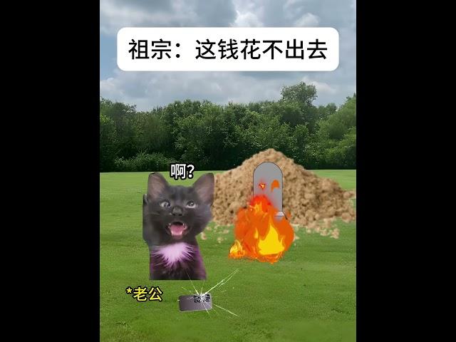祖宗：是不是天地银行倒闭了#有趣 #故事 #貓 #猫猫meme小剧场 #猫meme #内容过于真实  #猫meme剧场 #喵不可言