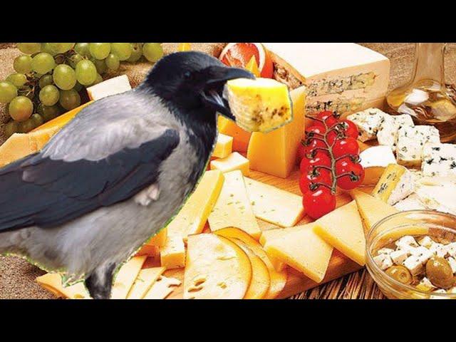 The crow has a hearty lunch.