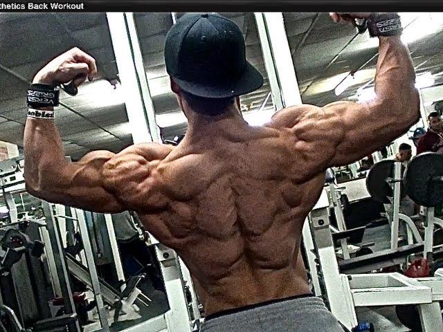 Shredded Aesthetics Back Workout