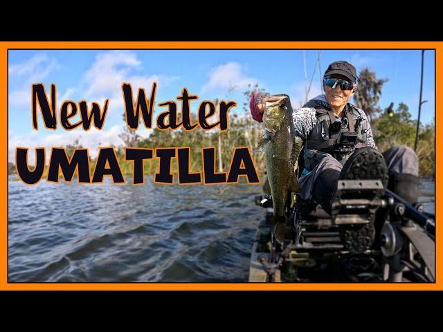 Exploring New Water - Lake Umatilla, FL - 10/29/24