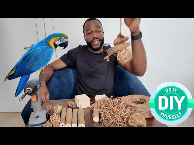 DON'T Buy Parrot TOYS! | DIY Enrichment