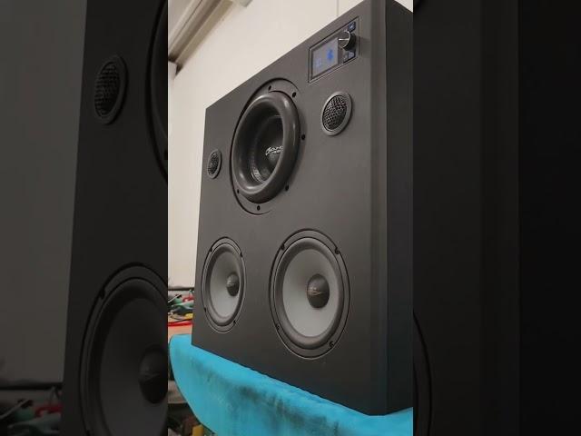 DIY full rang speaker