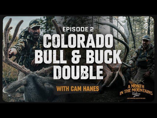 Colorado Bull & Buck Double