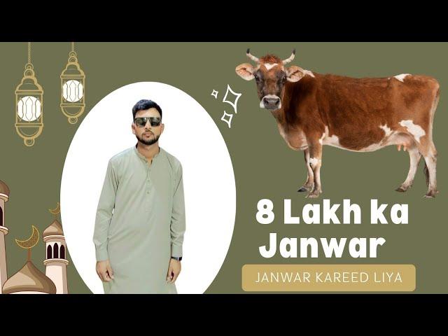 Eid K Liye 8 Lakh Ka Janwar l Janwar Kareed Liya. #eid #eidmubarak #cow