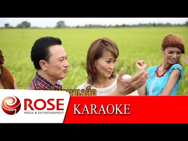 หนุ่มนาข้าวสาวนาเกลือ - ศิรินทรา นิยากร,ศรชัย เมฆวิเชียร  (KARAOKE)