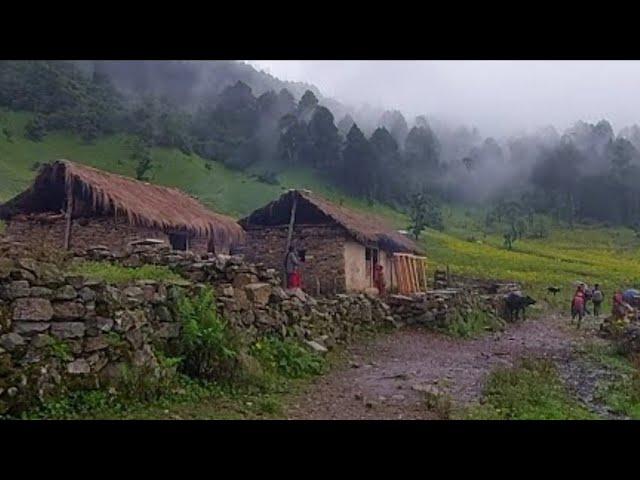 Most Peaceful And Very Relaxing Nepali Mountain Village Lifestyle |VillageLifeNepal